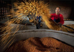 醉开心登榜！散酒加盟十大品牌推荐，它凭什么？